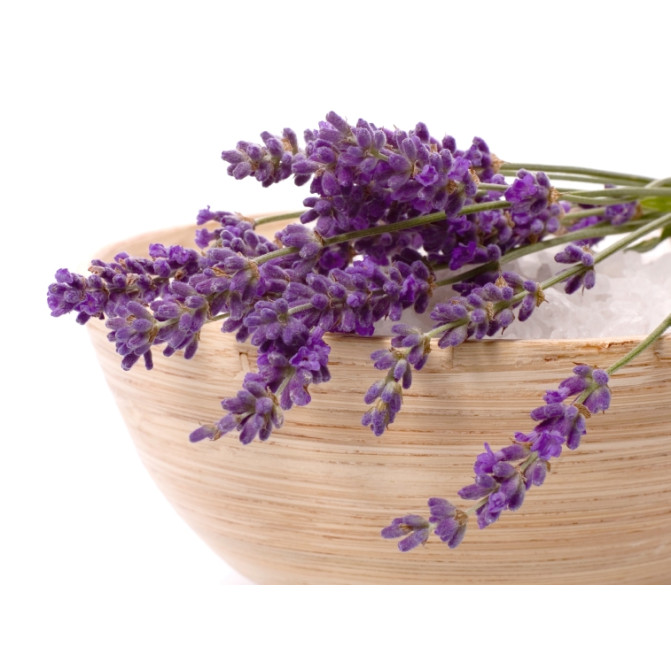 Lavender  - лаванда - аромадифузор oasis UltraScent