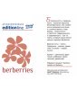 Парфумований ароматизатор повітря Berberries - Берберіз - аерозоль Spring Air 250 мл