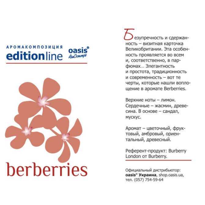 Парфумований ароматизатор повітря Berberries - Берберіз - аерозоль Spring Air 250 мл