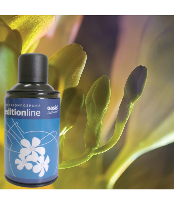 Парфумований ароматизатор Mystery - Таїнство - аерозоль