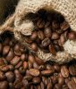 Професійний ароматизатор повітря Coffee Beans - Зерна кави - аерозоль oasis Gourmet Line - 250 мл