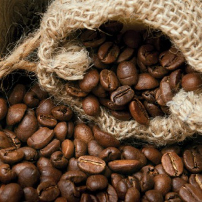 Професійний ароматизатор повітря Coffee Beans - Зерна кави - аерозоль oasis Gourmet Line - 250 мл