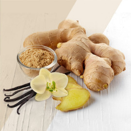 Ginger-Vanilla - Імбир та ваниль - аромакомпозиція для аромамашин oasis Gourmet Line