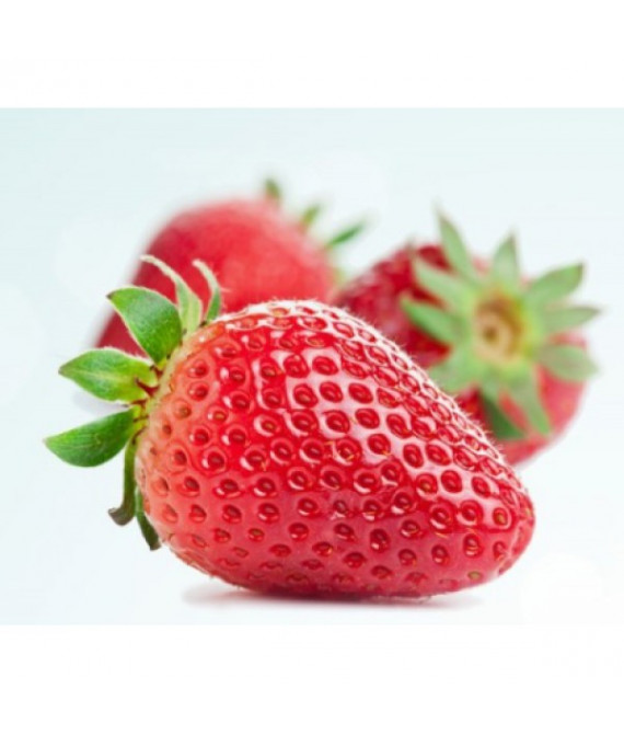 Strawberry - Полуниця з вершками - аерозоль oasis Gourmet Line 250 мл