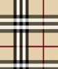 Berberries (ідея Burberry London, Burberry) аерозоль oasis