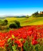 FIELD OF POPPIES XP - Маковое поле - Parfum d'Ambiance -