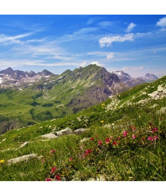 COUNTRY NATURE XP - Деревенские мотивы - Parfum d'Ambiance