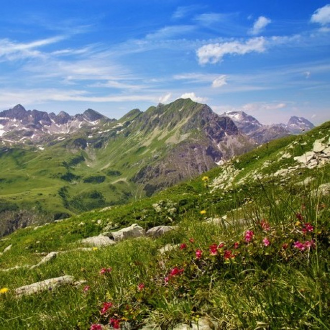 COUNTRY NATURE XP - Деревенские мотивы - Parfum d'Ambiance