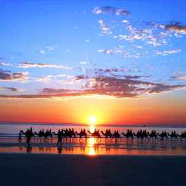 SUNSET in the OASIS ID - Parfum de Luxe concentre- Концентрат для аромамашин 