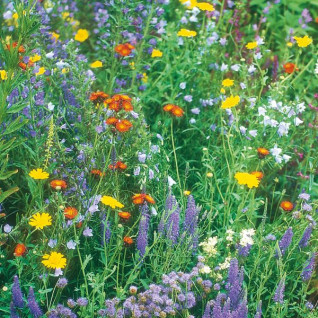 Wild flowers - Дикі квіти (SA) - аромакомпозиція для аромамашин