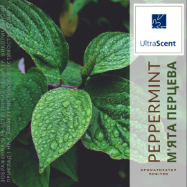 Peppermint М'ята Ароматизатор для зволожувача повітря