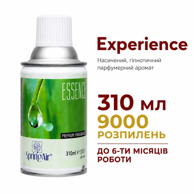 Experience аерозоль (Spring Air) 310 мл