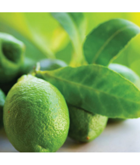 Citrus Valley - Долина цитрусів - аерозоль Spring Air 250 мл