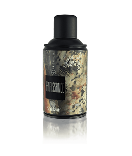 Renaissance – Ренесанс - аерозоль Spring Air 250 мл