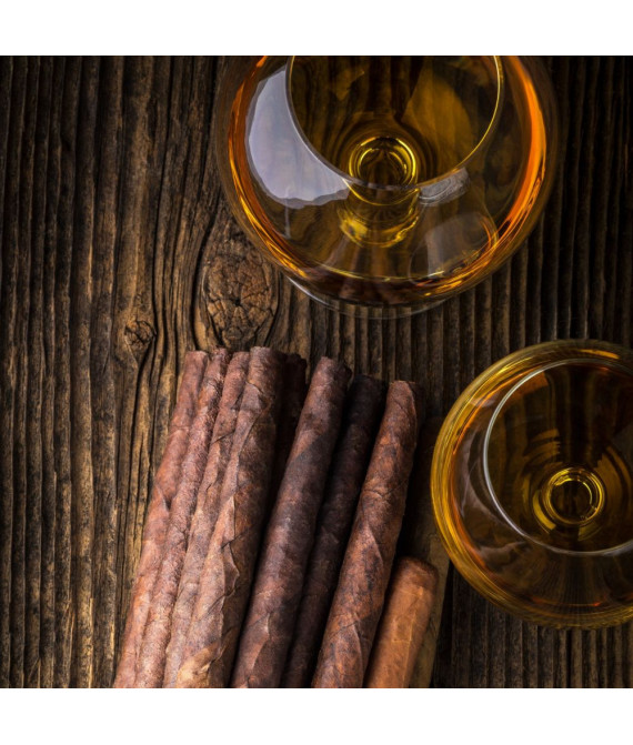 Парфумований ароматизатор повітря Cognac & Cuban Cigar - Коньяк і кубинська сигара - аерозоль Spring Air 250 мл 