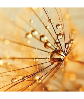 Venice – Венеція - аерозоль Spring Air 250 мл