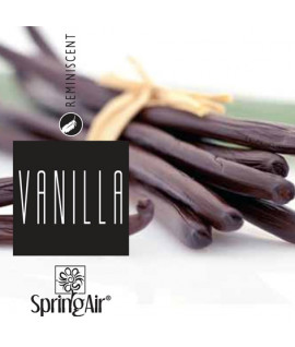 Vanilla - Ваниль - аерозоль Spring Air 250 мл 