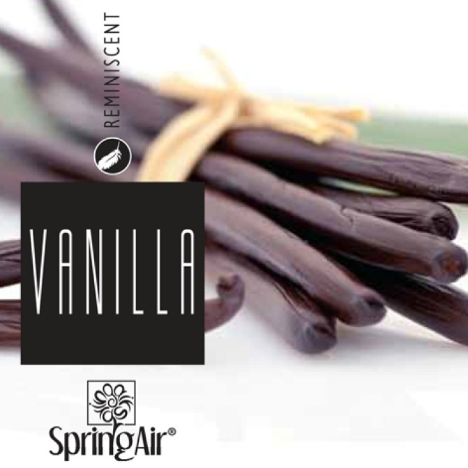Vanilla - Ваниль - аерозоль Spring Air 250 мл