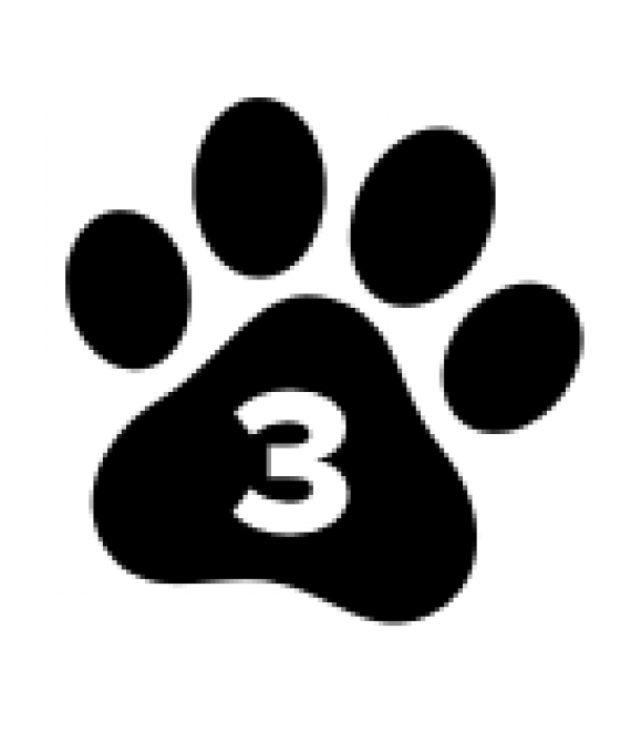 Професійна аромамашина Aromaconcept А3, нано-ароматизація повітря.