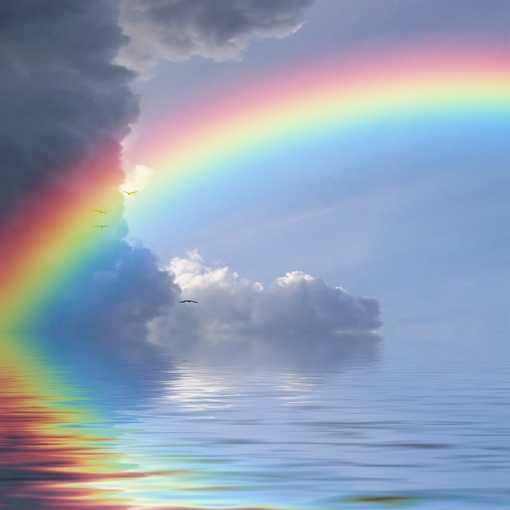 ароматизатор Serenity Spring Air®