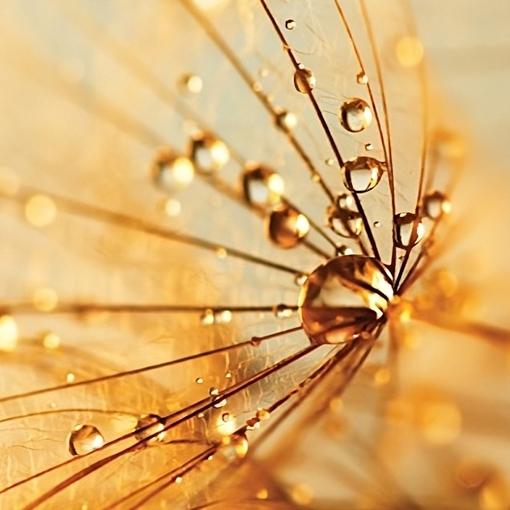 ароматизатор Venice Spring Air®